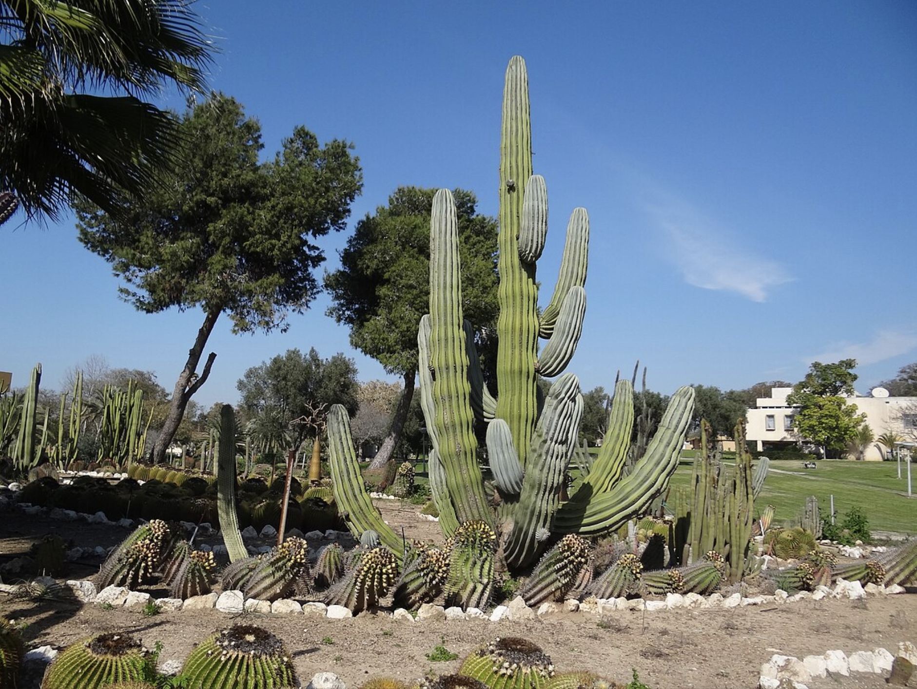 Sde Yoav in Israel (Photo/Wikimedia Commons)